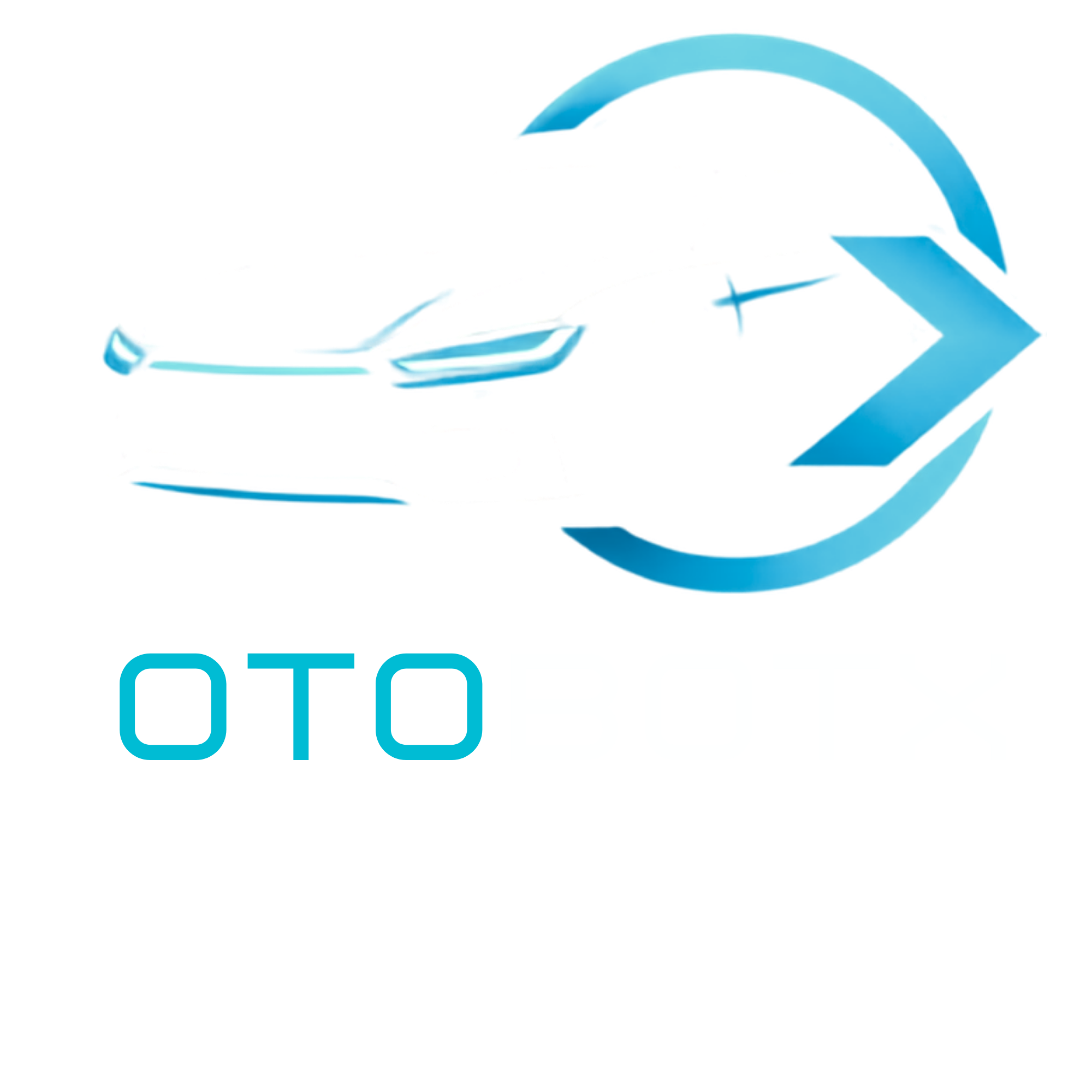 OtoBotX Logo